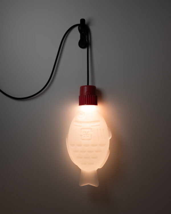 Light Soy  Flex – Australian Plug - Image 5