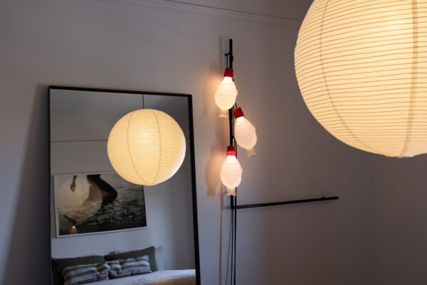 Light Soy  Flex – Australian Plug - Image 9
