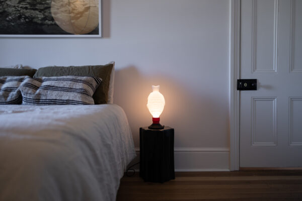 Light Soy  Flex – Australian Plug - Image 11