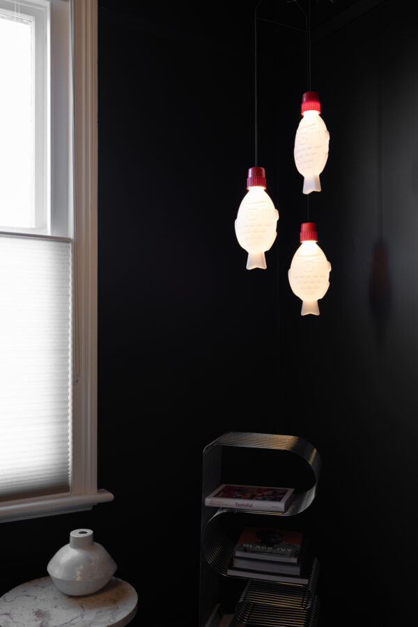 Light Soy  Flex – Australian Plug - Image 17